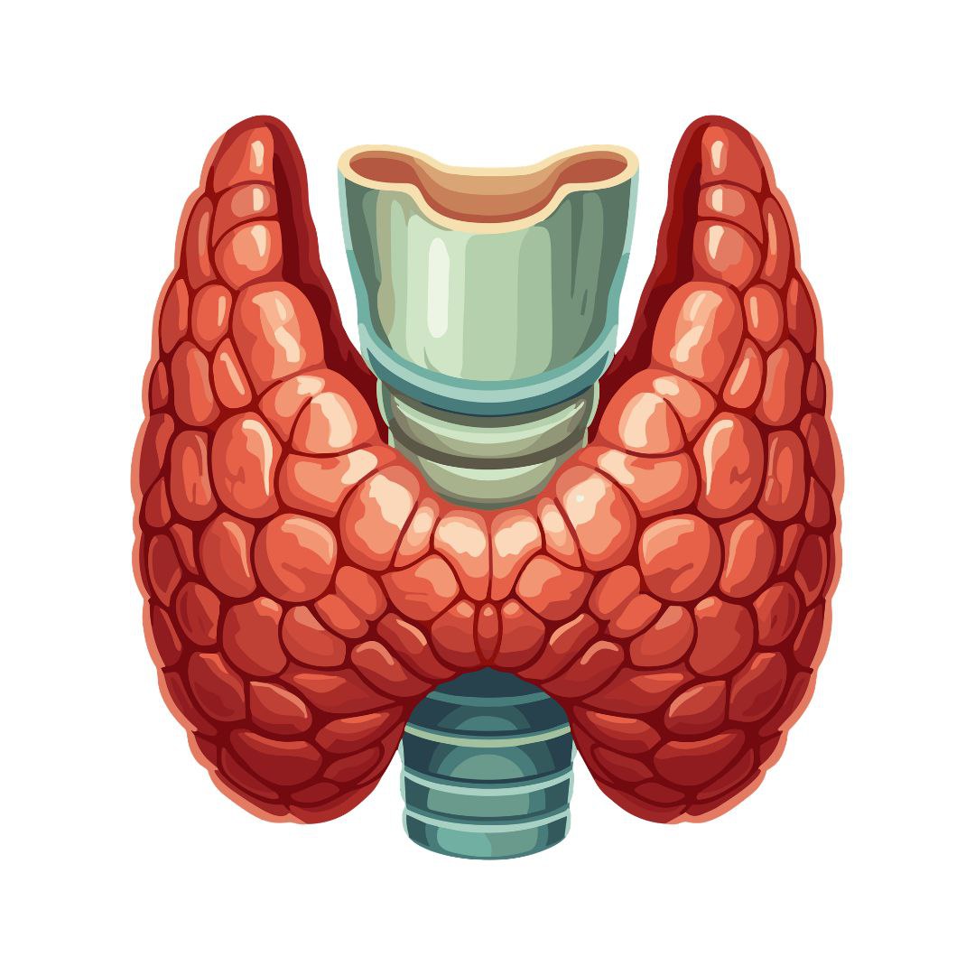 بكج مريض الغدة